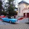 Zluty_081017-119